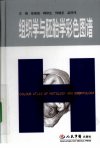 组织学与胚胎学彩色图谱_12393268_人民军医出版社_2009.05_徐国成主编_Pg144