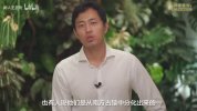 B站 - 王昱珩:环球博物馆中的自然科学